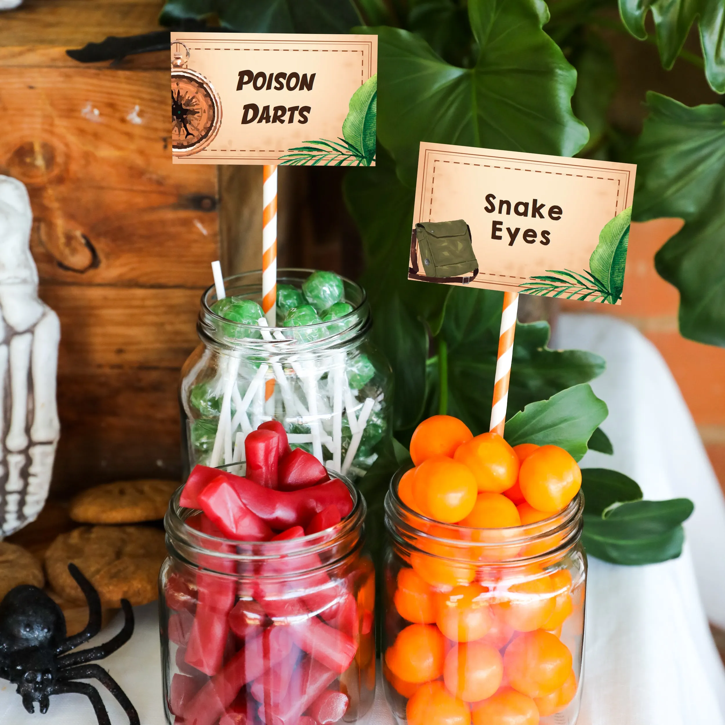 Adventure Party Birthday Decor | Indiana Jones Explorer Party Decor