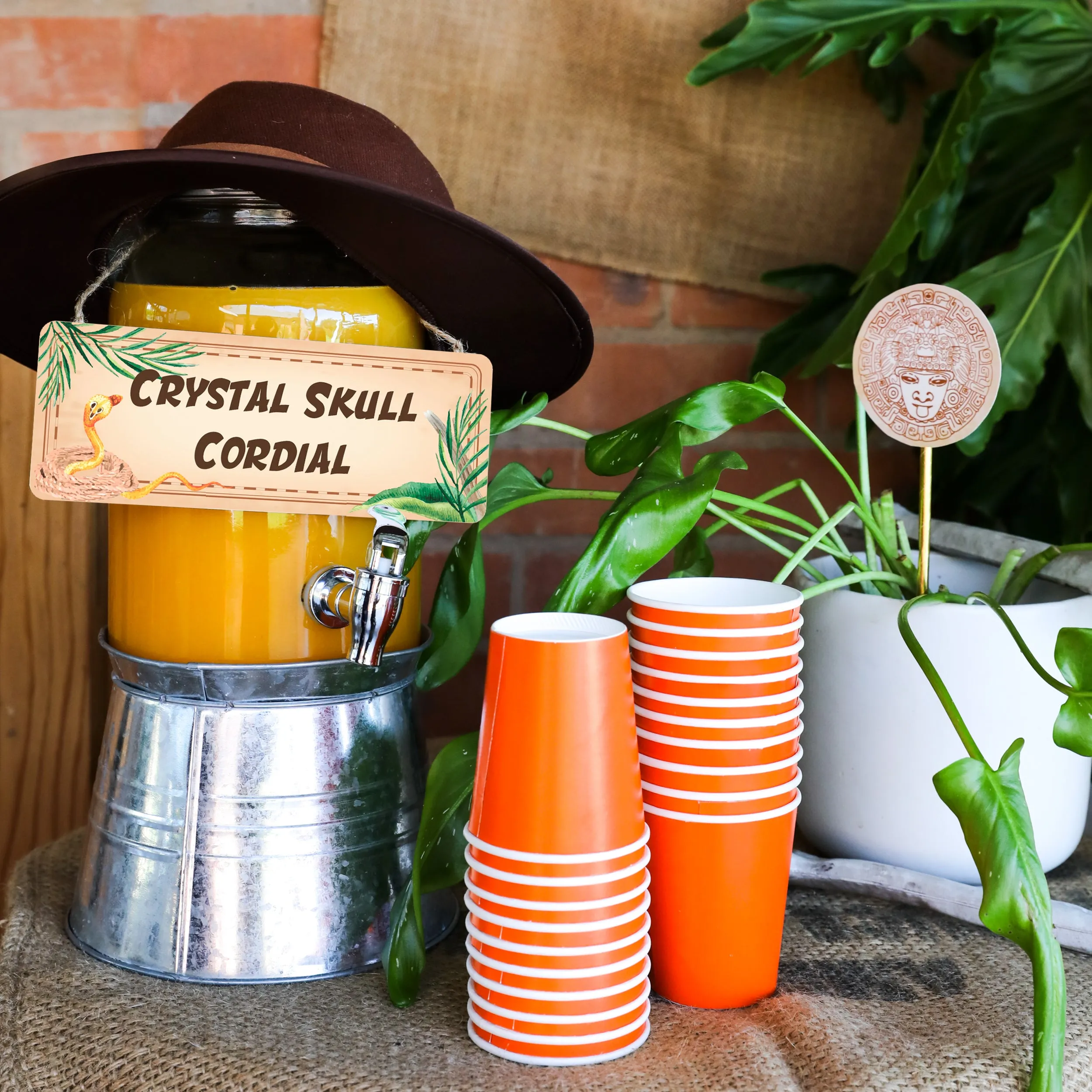 Adventure Party Birthday Decor | Indiana Jones Explorer Party Decor