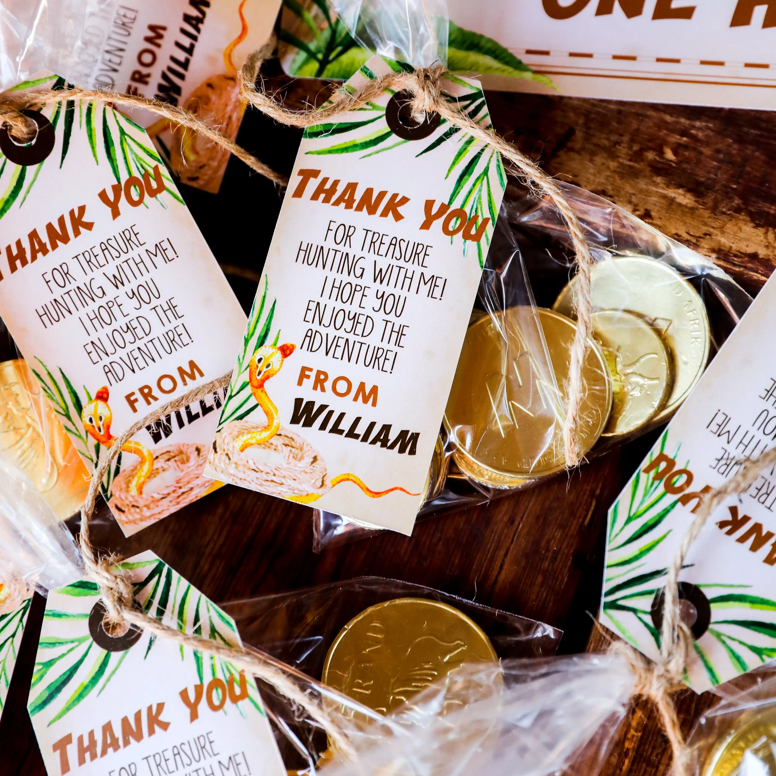 Adventure Party Birthday Decor | Indiana Jones Explorer Party Decor